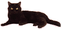 an animated gif of a black cat flicking its tail up and down